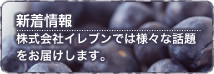 新着情報